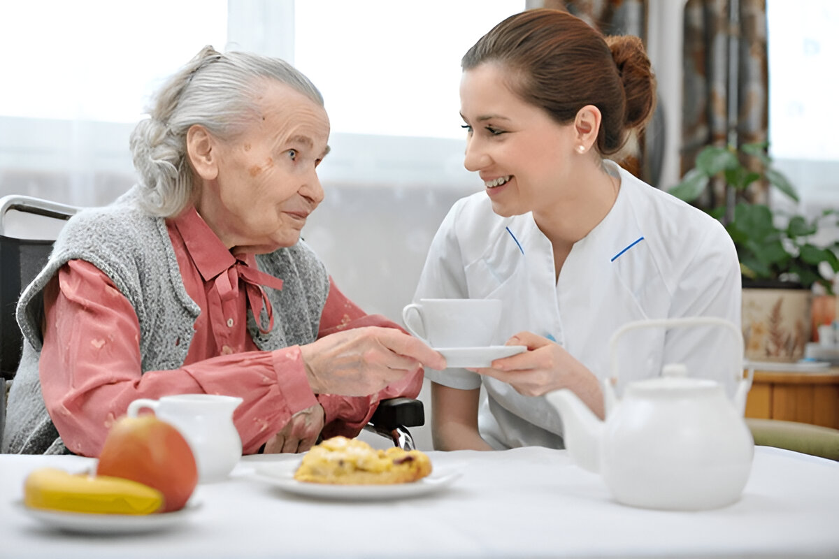 Meal Preparation Service